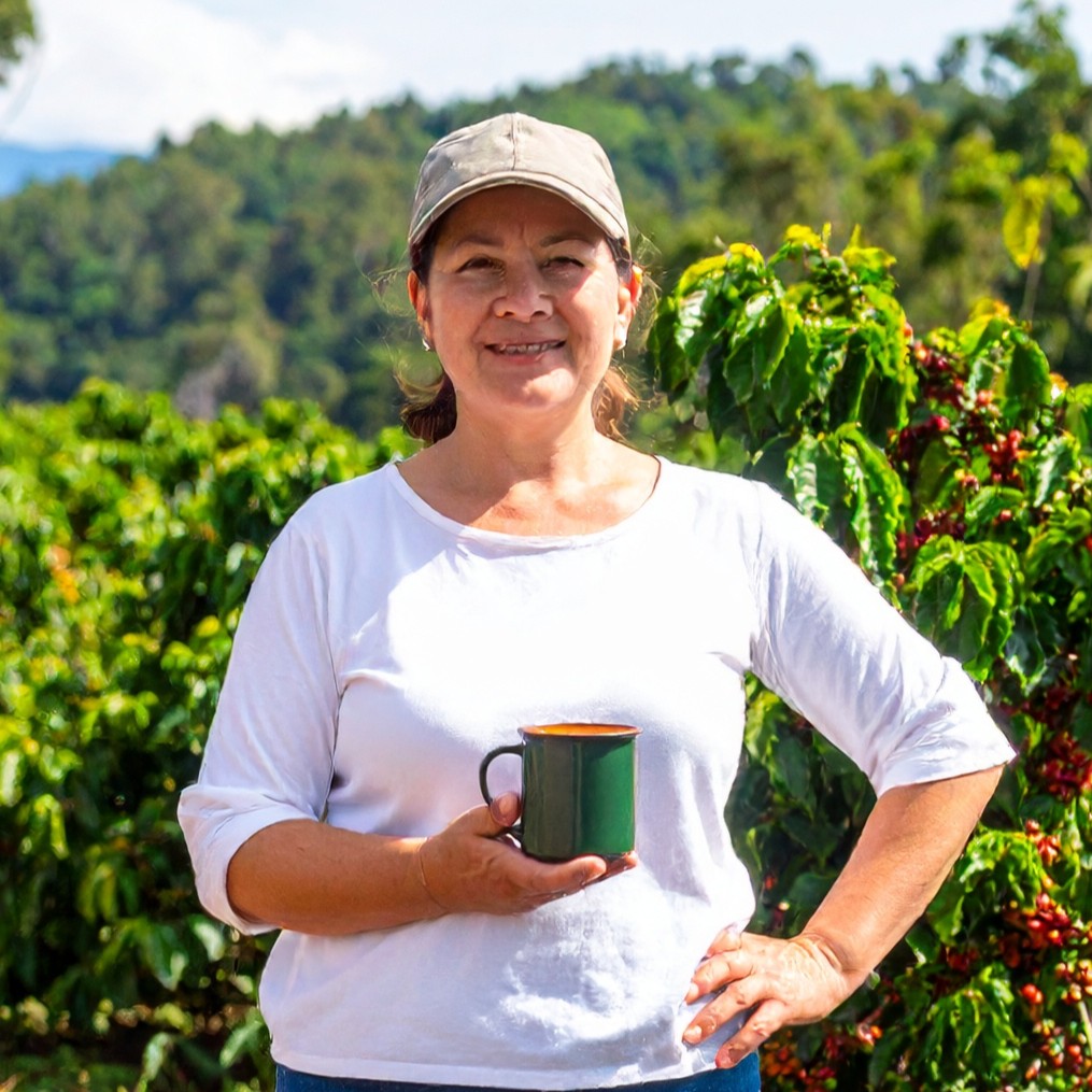 Maria Oliveira's avatar